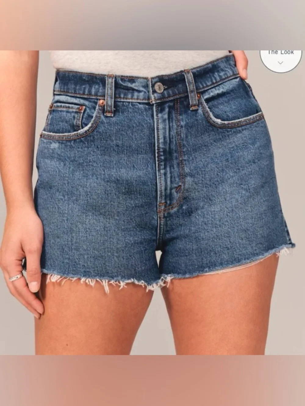 Abercrombie & Fitch abercrombie fitch